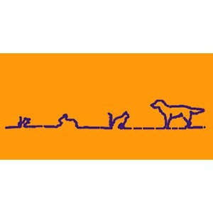 Bild von Kuschel Maren Tierärztin für Kleintiere