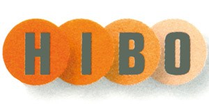 Kundenlogo von Hilvert Dietmar HIBO Parkett- u. Fußbodentechnik