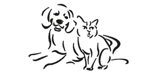 Kundenlogo von Erdelhoff Markus Dr. Tierärztliche Praxis