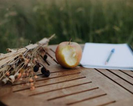 Kundenfoto 2 An Apple a Day - Coaching für Ernährung und Darmgesundheit