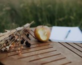 Kundenbild groß 2 An Apple a Day - Coaching für Ernährung und Darmgesundheit