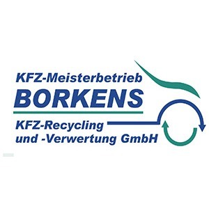 Bild von KFZ-Meisterbetrieb Borkens KFZ-Recycling und -Verwertung GmbH
