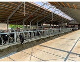 Kundenbild groß 1 Nießing Bau GmbH & Co. KG