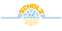 Logo von Walter Scholz GmbH Kälte-Klima-Anlagen
