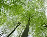 Kundenbild groß 4 Müller Bestattungen