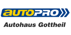 Kundenlogo von Gottheil GmbH Kfz-Meisterbetrieb