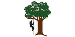 Kundenlogo von BS Baumpflege & Fälltechnik Problem- und Risikofällungen,  Seilklettertechnik,  zertifizierter Baumkontrolleur