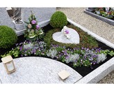 Kundenbild groß 2 Blumenhaus Knoop Friedhofsgärtnerei