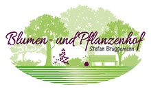 Kundenlogo von Blumen- und Pflanzenhof Stefan Brüggemann