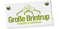 Kundenlogo Große Brintrup Blumen und Gartenbau