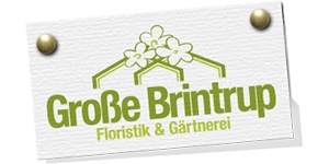 Kundenlogo von Große Brintrup Blumen und Gartenbau