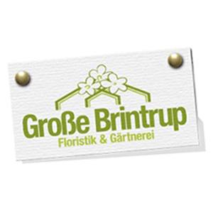 Bild von Große Brintrup Blumen und Gartenbau