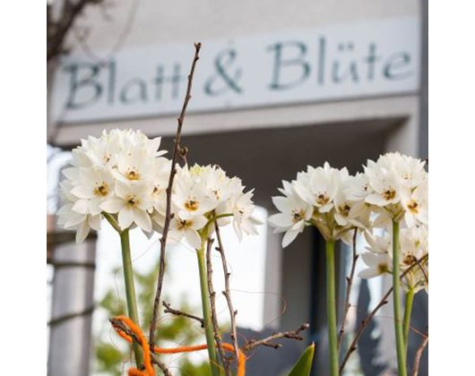 Kundenfoto 12 Blatt und Blüte Blumenfachgeschäft