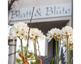 Kundenbild groß 12 Blatt und Blüte Blumenfachgeschäft