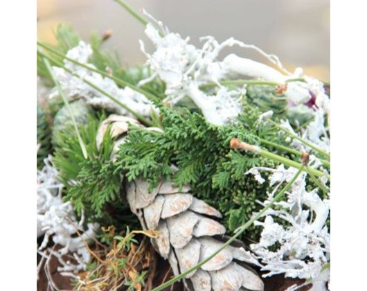 Kundenfoto 4 Blatt und Blüte Blumenfachgeschäft