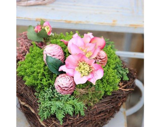 Kundenfoto 3 Blatt und Blüte Blumenfachgeschäft