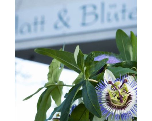 Kundenfoto 14 Blatt und Blüte Blumenfachgeschäft