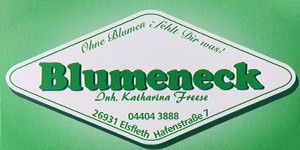 Kundenlogo von Blumeneck Inh. Katharina Freese