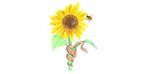 Kundenlogo von Praxis für Naturheilkunde Sabine Zapf-Walter Kundenlogo von Praxis für Naturheilkunde Sabine Zapf-Walter