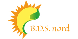 Kundenlogo von B.D.S. nord Beratung, Dienstleistung und Service für Senioren