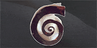 Kundenlogo Grothey Katharina Logopädin