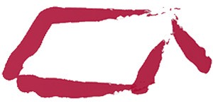 Kundenlogo von Salzig Dachbau GmbH Dachdeckermeister seit 1912