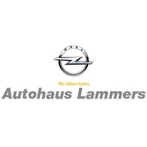 Bild von Autohaus Lammers