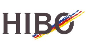 Kundenlogo von HIBO Borgmann Maler GmbH Fußboden- u. Malergeschäft