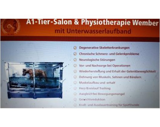 Kundenfoto 5 A1 Tier-Salon & Physiotherapie Wember