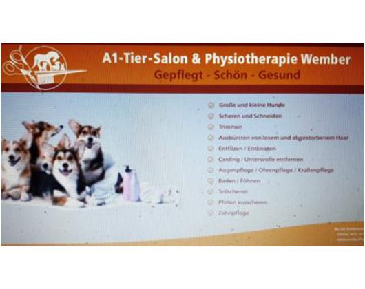 Kundenfoto 2 A1 Tier-Salon & Physiotherapie Wember