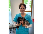Kundenbild groß 1 Erteld Eva-Maria Dr.med.vet. Praktische Tierärztin, CPCert Small Animal Medicine