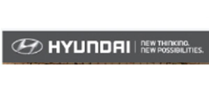 Kundenlogo von Stegherr Martin Hyundai-Vertragshändler
