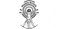 Kundenlogo PHYSIOTHERAPIE & ERGOTHERAPIE Praxis Drizis