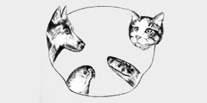 Kundenlogo von Benninger & Lucht Tierärztliche Gemeinschaftspraxis