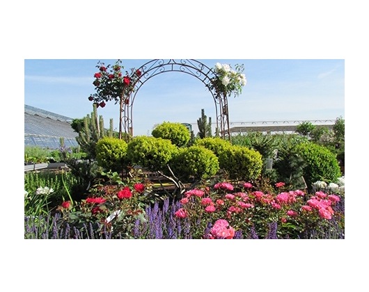 Kundenfoto 6 Lehnhoff Hauke Blumen und Gartenbau