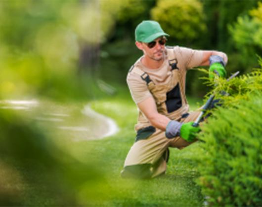 Kundenfoto 1 Garten&Grundstück - Ihr Experte für Gartenbau in Hildesheim - Marco Kirst