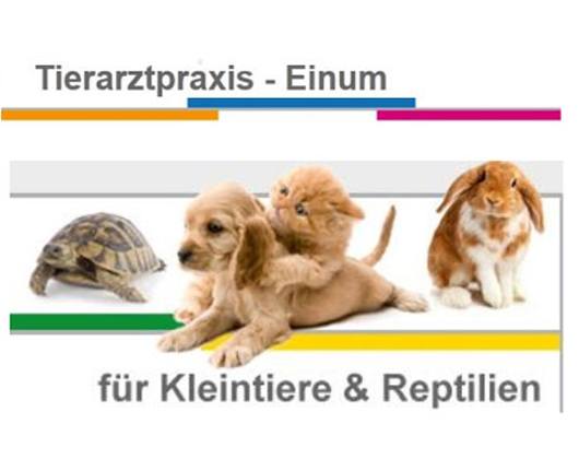 Kundenfoto 1 Tierarztpraxis Einum Dr. med. vet. Alexandra Pauck