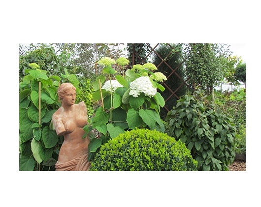 Kundenfoto 3 Lehnhoff Hauke Blumen und Gartenbau