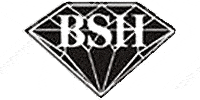 Kundenlogo BSH-Betonbohr- u. Sägeunternehmen GmbH