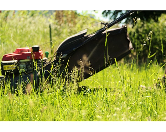 Kundenfoto 8 WEISBENDER Gebäudedienste GmbH Kundenfoto 8 WEISBENDER Gebäudedienste GmbH