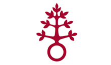 Kundenlogo von Dominikus-Ringeisen-Werk Schuleinrichtungen u. Kindergarten