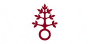 Kundenlogo von Dominikus-Ringeisen-Werk Schuleinrichtungen u. Kindergarten