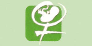 Kundenlogo von Wollenhaupt Frank