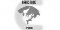 Kundenlogo Haarstudio Czichon