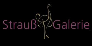 Kundenlogo von Strauss Galerie GbR Kundenlogo von Strauss Galerie GbR