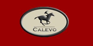 Kundenlogo von CALEVO GmbH