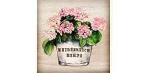 Kundenlogo von Blumenhaus Heidenreich-Rempe