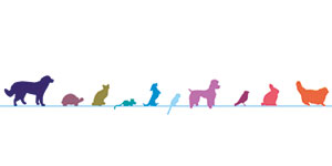 Kundenlogo von Vogt-Hellmuth Barbara Dr. prakt. Tierärztin