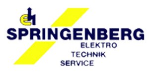 Kundenlogo von Elektro Springenberg