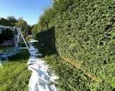 Kundenbild groß 1 Gartenservice Langner
